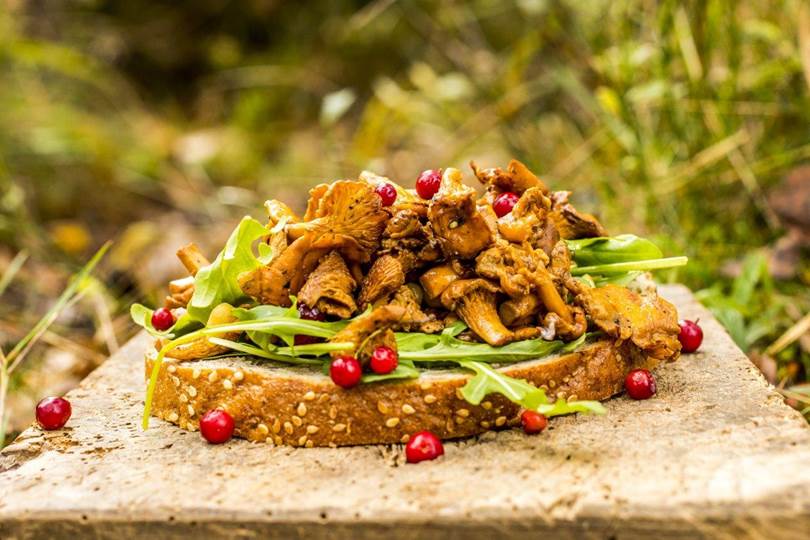 Høstskive med kantarell og tyttebær_.jpg