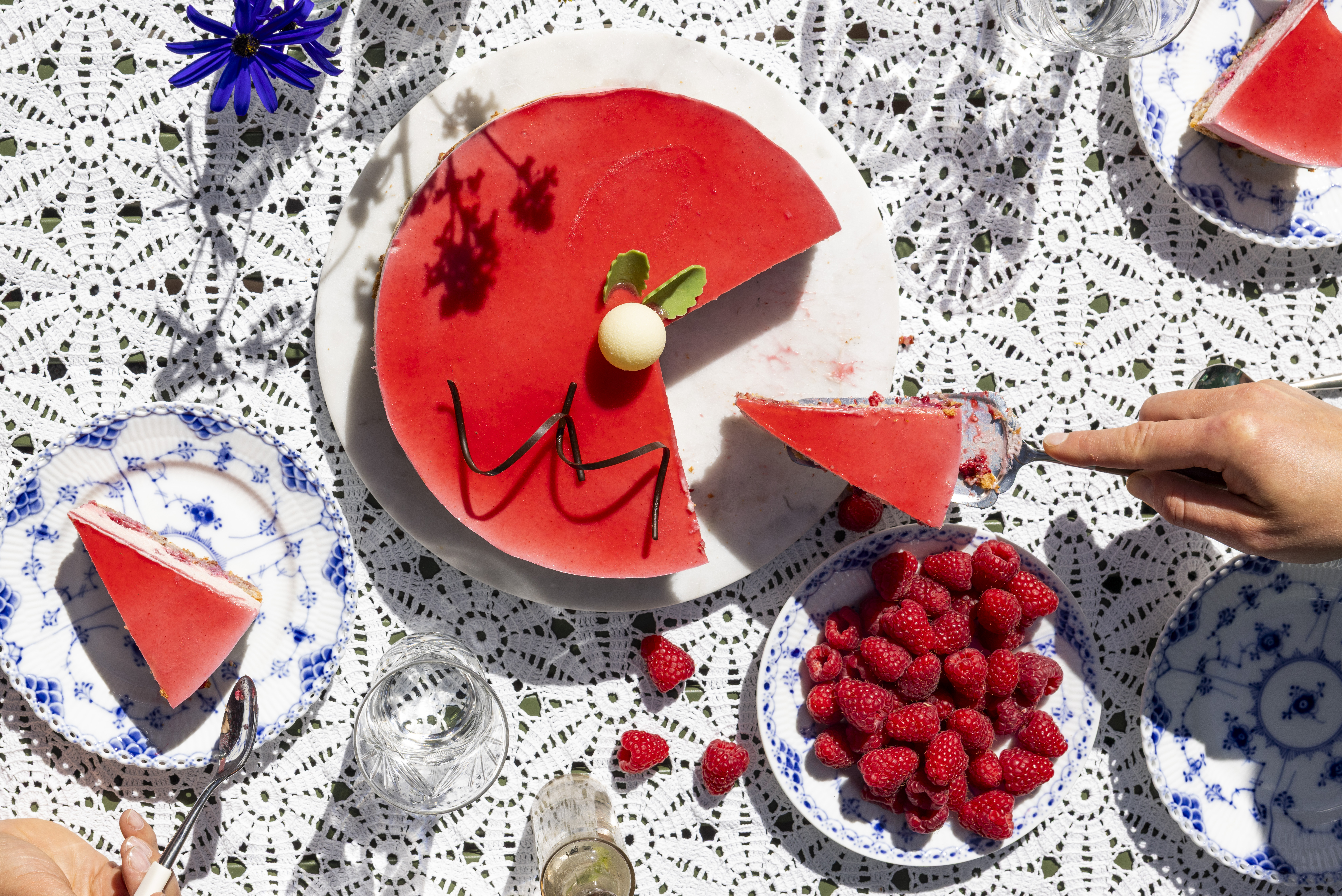 Bringeb&aelig;r og rips2.jpg